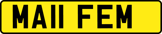 MA11FEM