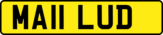 MA11LUD