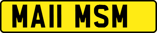 MA11MSM