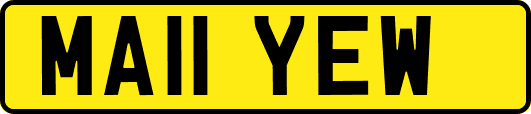 MA11YEW