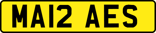 MA12AES