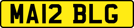 MA12BLG