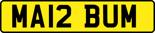 MA12BUM