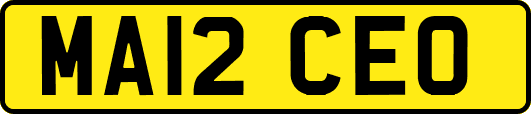 MA12CEO