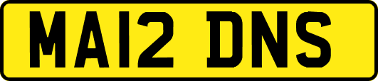 MA12DNS