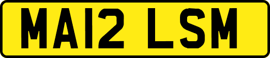 MA12LSM