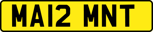 MA12MNT