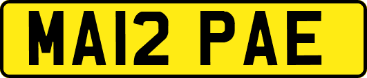 MA12PAE