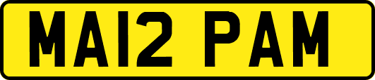 MA12PAM