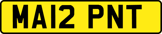 MA12PNT