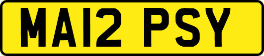 MA12PSY