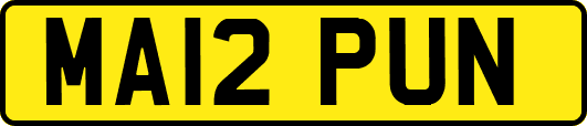 MA12PUN