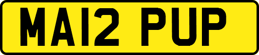 MA12PUP