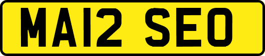 MA12SEO