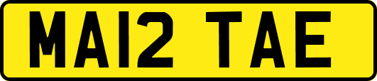 MA12TAE