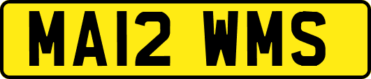 MA12WMS