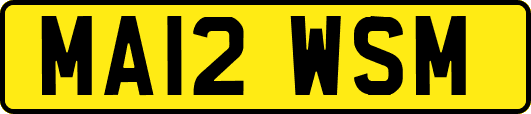 MA12WSM