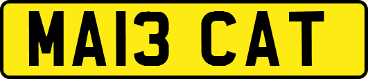 MA13CAT