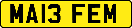 MA13FEM