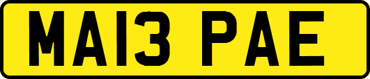 MA13PAE