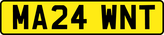 MA24WNT