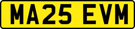 MA25EVM