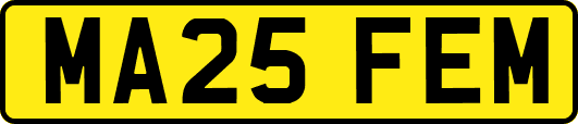 MA25FEM