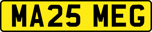 MA25MEG