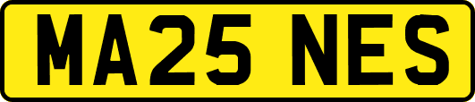 MA25NES