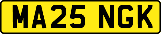 MA25NGK