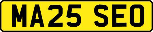 MA25SEO