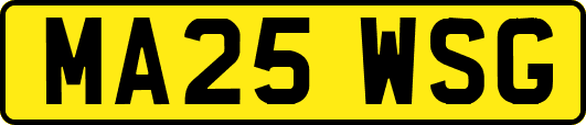 MA25WSG