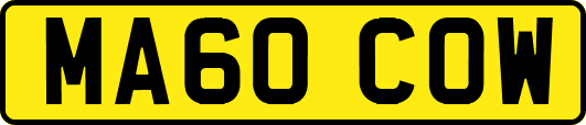 MA60COW
