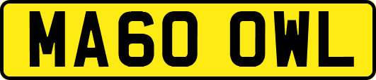 MA60OWL