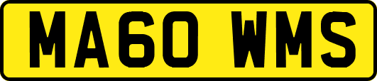 MA60WMS
