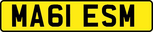 MA61ESM