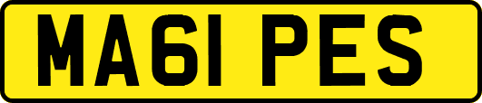 MA61PES