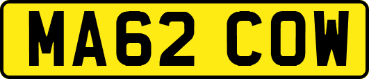 MA62COW