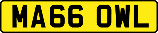 MA66OWL