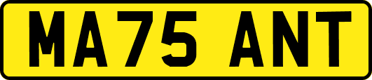 MA75ANT