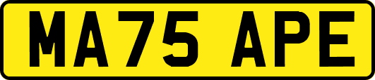 MA75APE