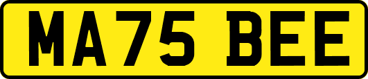 MA75BEE