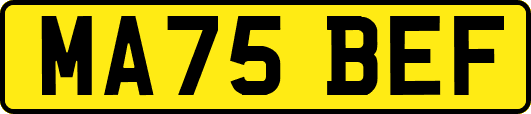 MA75BEF