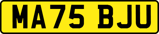 MA75BJU