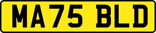 MA75BLD