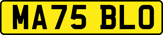 MA75BLO