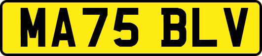 MA75BLV