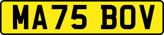 MA75BOV
