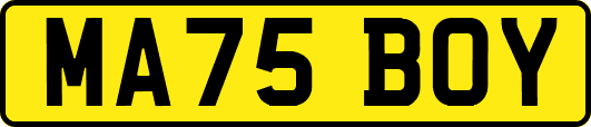 MA75BOY