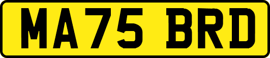 MA75BRD